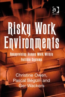 Image for Risky work environments: reappraising human work within fallible systems