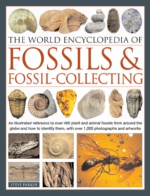 Image for The world encyclopedia of fossils and fossil-collecting