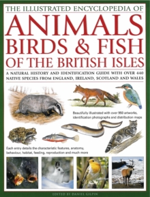 Image for Illustrated Encyclopedia of Animals, Birds and Fish of the British Isles