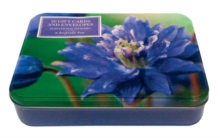 Image for Sensational Flowers Box of Cards