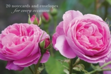 Image for Card Box of 20 Notecards and Envelopes: Pink Rose