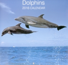 Image for Dolphins 2016 Calendar