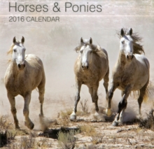 Image for Horses & Ponies 2016 Calendar
