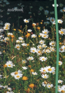Image for Notebook (Field of Daisies)
