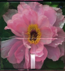 Image for Memo Block - Peony