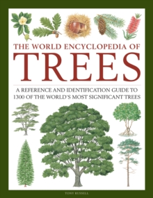 Image for The world encyclopedia of trees