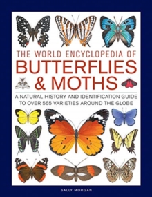 Image for Butterflies & Moths, The World Encyclopedia of