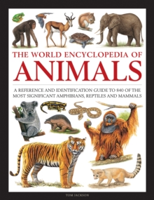 Image for The world encyclopedia of animals