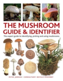 Image for The mushroom guide & identifier  : the expert guide to identifying, picking and using mushrooms