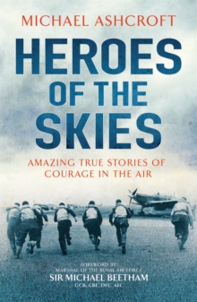 Image for Heroes of the skies