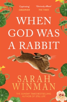 Cover for: When God Was A Rabbit