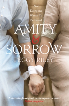 Image for Amity & Sorrow