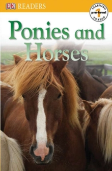 Image for DK Readers L0: Ponies and Horses