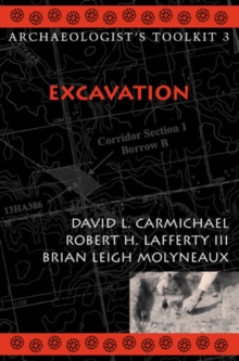 Image for Excavation