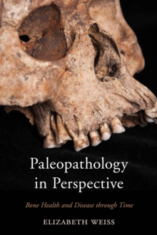 Image for Paleopathology in Perspective