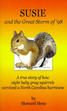 Image for Susie and the Great Storm of '98