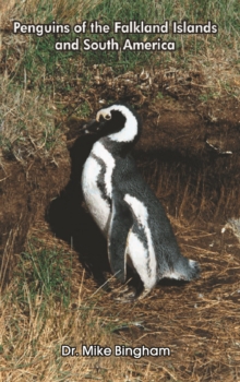 Image for Penguins of the Falkland Islands and South America