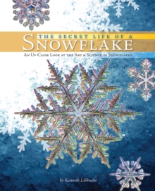 Secret Life of a Snowflake