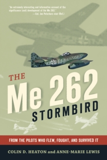 Image for The Me 262 Stormbird