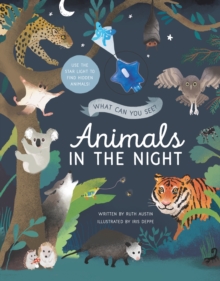 Image for What Can You See? Animals in the Night