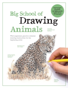 Big School of Drawing Animals