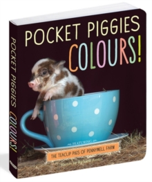 Image for Pocket Piggies Colours!