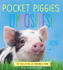 Image for Opposites!  : featuring the teacup pigs of Pennywell Farm