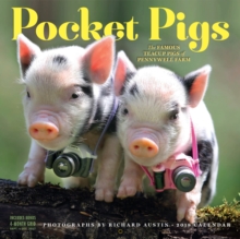 Image for Pocket Pigs Wall Calendar 2018