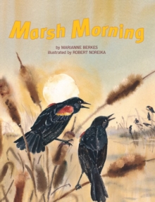 Image for Marsh Morning.