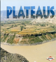 Image for Plateaus