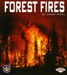 Image for Forest Fires