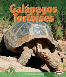 Image for Galapagos Tortoises