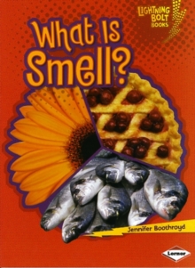Image for What is Smell?