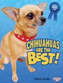Image for Chihuahuas are the best!