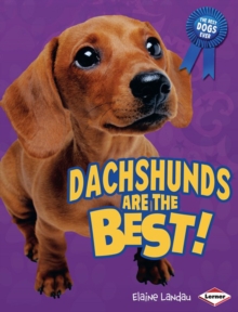 Image for Dachshunds Are the Best!