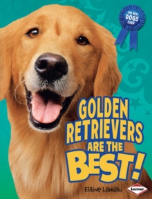 Image for Golden retrievers are the best!