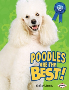 Image for Poodles are the best!