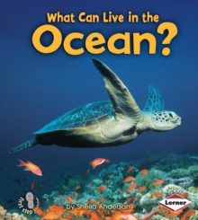 Image for What Can Live in the Ocean?
