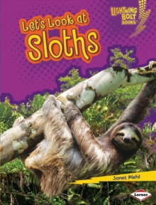 Image for Let's look at sloths