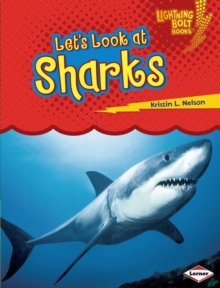 Image for Let's Look at Sharks