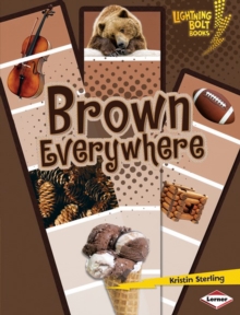 Image for Brown Everywhere