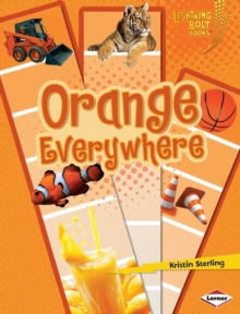 Image for Orange Everywhere