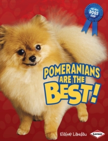 Image for Pomeranians are the best!
