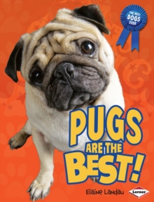Image for Pugs Are the Best!