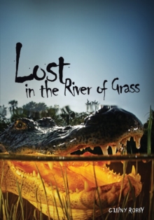 Image for Lost in the River of Grass