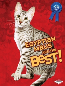 Image for Egyptian maus are the best!