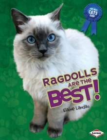 Image for Ragdolls Are the Best!