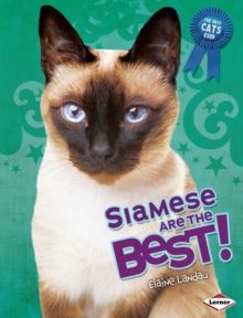 Image for Siamese Are the Best!