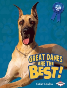 Image for Great Danes Are the Best!