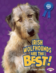 Image for Irish Wolfhounds Are the Best!